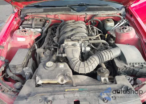 2006 Ford Mustang Gt z USA, uszkodzony, nr VIN 1ZVHT82H265264907